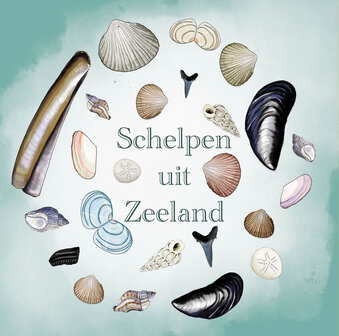 Ansichtkaart Zeeland &ndash; Schelpen uit Zeeland | 15x15 cm