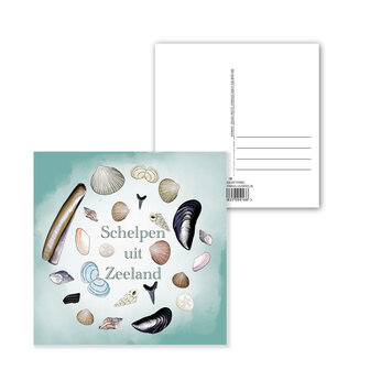 Ansichtkaart Zeeland &ndash; Schelpen uit Zeeland | 15x15 cm