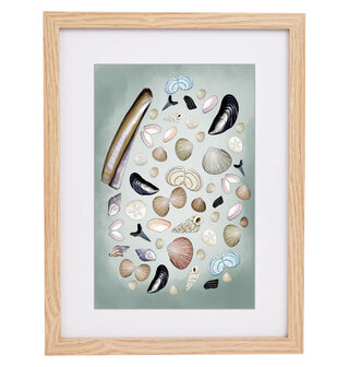 Ingelijste A4 Poster Schelpen van het Zeeuwse Strand &ndash; Handgetekende Schelpen Illustratie