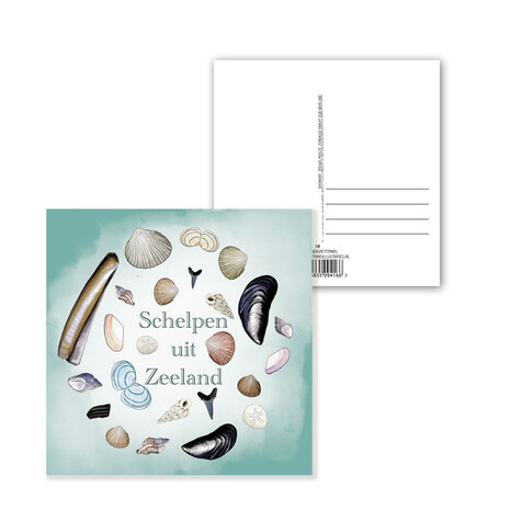 Ansichtkaart Zeeland – Schelpen uit Zeeland | 15x15 cm