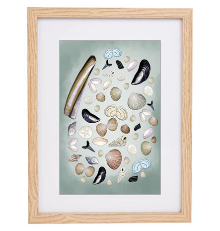 Ingelijste A4 Poster Schelpen van het Zeeuwse Strand &ndash; Handgetekende Schelpen Illustratie